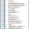 aeskublots_allergy_two